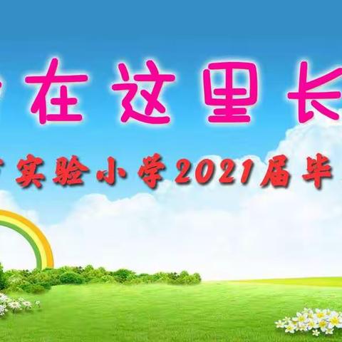 我在这里长大——凌源市实验小学2021届六年级毕业典礼