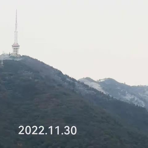 唐多令词一阕