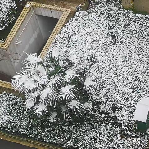 壬寅小年喜降大雪