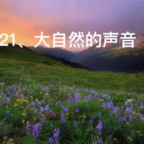 教研与声同行——梅江区人民小学第十一周语文教研活动