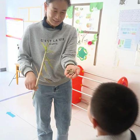 春日小游