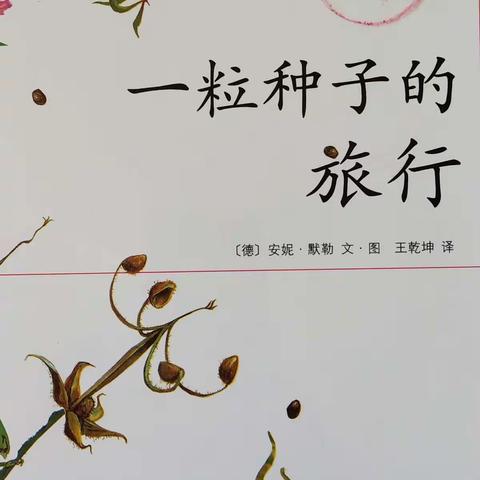 绘本故事《一粒种子的旅行》