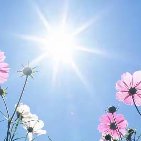 坚守“疫”线 齐心抗疫 —— 市教研所积极助力社区疫情防控志愿服务工作