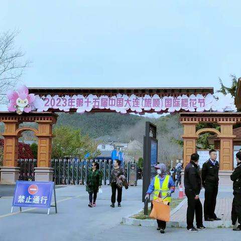 2023年大连旅顺口第十五届国际樱花届，海边汉服美拍，星海广场观看海鸥，鲅鱼圈温泉度假村三日游。