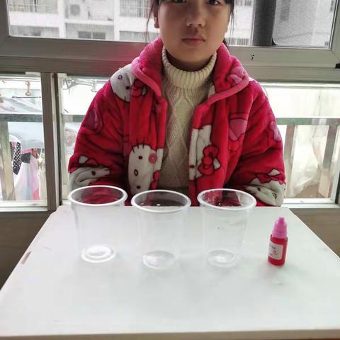 科学小实验《水中颜色》