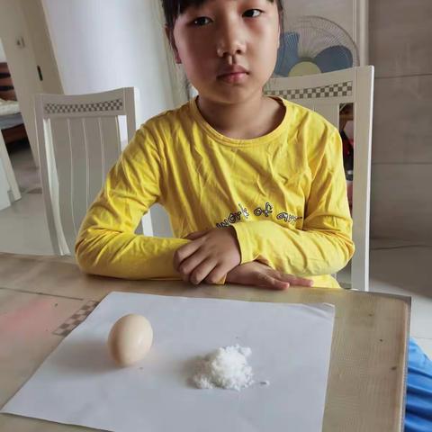 科学小实验《站立的鸡蛋》