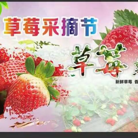 采摘草莓🍓，我们约起