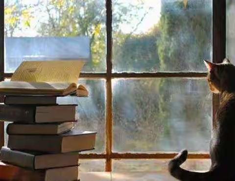 我是一名爱读书的小学生·通州小学一年级敏慧娃成长记(三)。