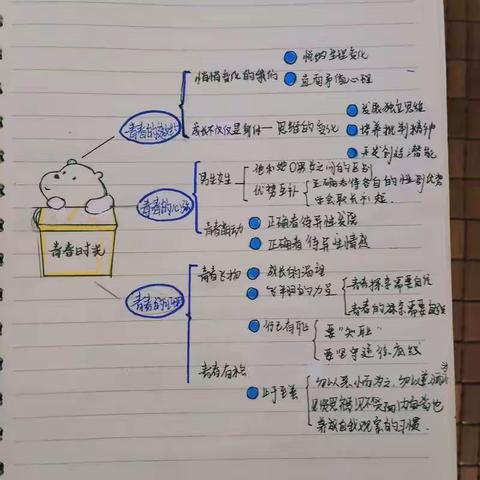 捷胜中学九年级学生思维导图选辑（一）