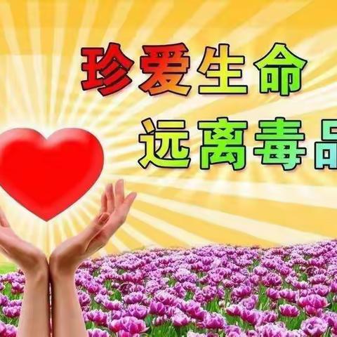 珍爱生命，远离毒品———大留镇石桥小学禁毒宣传活动