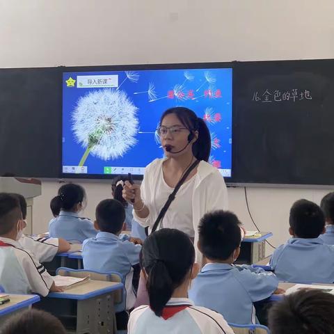 生活中不缺少美，只是缺少发现的眼睛——首都师范大学附属乐东第一小学语文组《金色的草地》核心课展示