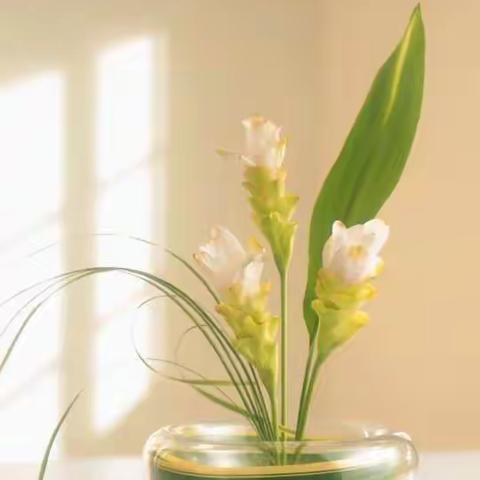 2018年通海县高大中心小学清明节放假通知及假期安全告知