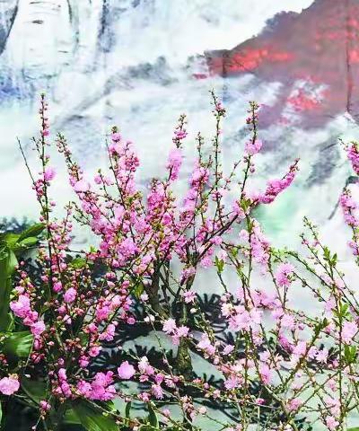 七（2）和七（4）英语假期作业小结