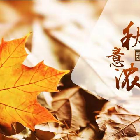 秋意浓，感受秋天，寻找秋天。
