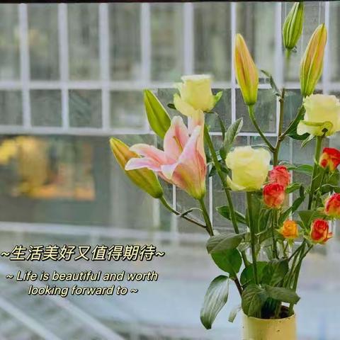 与爱同行 共创美好——武汉市七一中学致家长的一封信