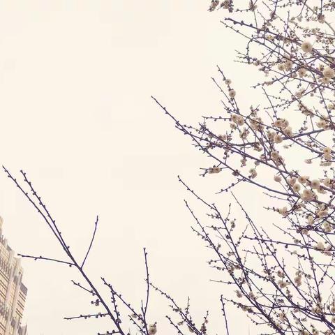 新学期  “心”动力 ——武汉市七一中学心理中心2月工作纪实