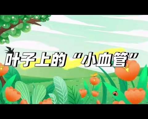 以“艺”战疫，向美而行——光明小学线上美术教学