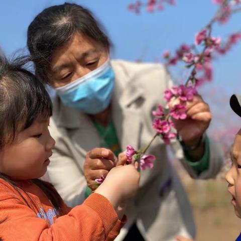 大华山幼儿园优秀教师事迹分享