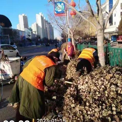 区园林绿化中心开展城乡环境卫生整治活动