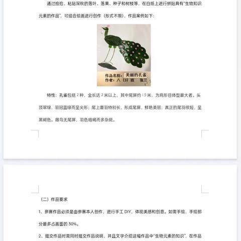 邂逅秋之美，落叶创意比赛