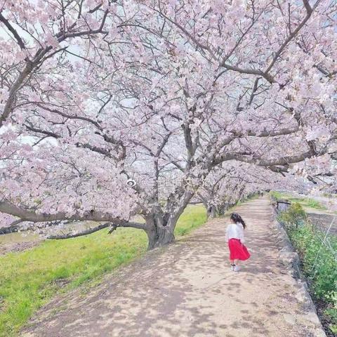 温暖伴你行，呵护促成长——记枣庄市实验幼儿园大四班第七周精彩回顾