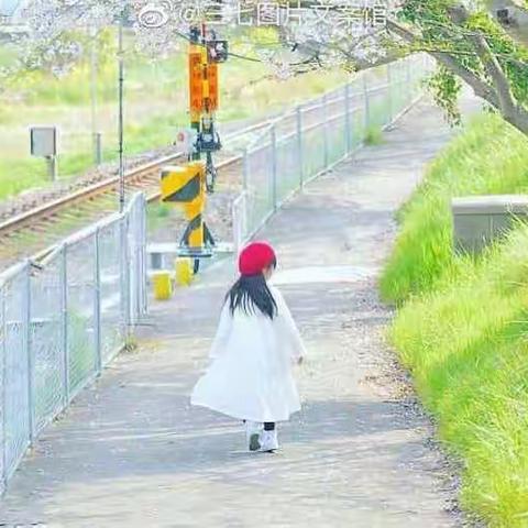 放缓脚步，陪伴成长——记枣庄市实验幼儿园大四班第八周精彩回顾