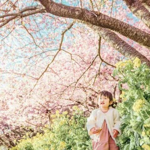 大手牵小手，快乐每一天——记枣庄市实验幼儿园大四班第九周精彩回顾