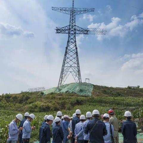 七一前夕，支部组织党员到一线工地参观学习750千伏高压输电线路建设