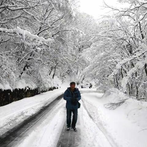 春雪（副本）