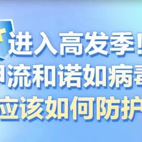 甲流和诺如病毒感染进入高发季！如何防护，快速读懂！