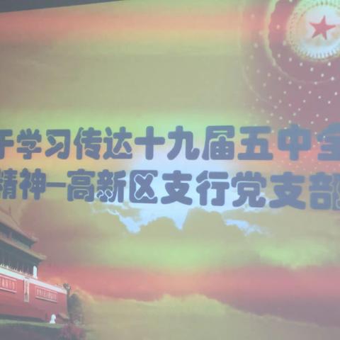 认真学习传达十九届五中全会精神___高新区党支部