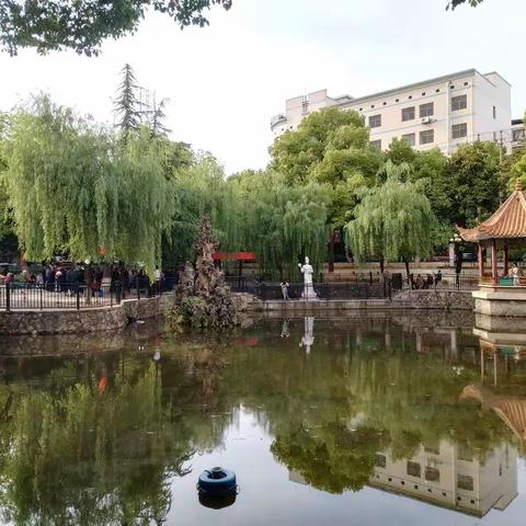 闲庭信步逛公园