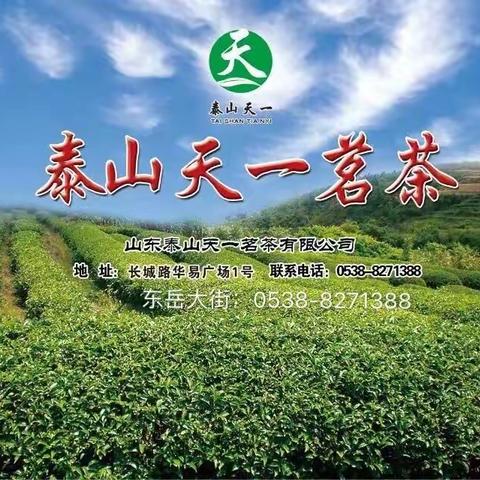 泰山天一茗茶