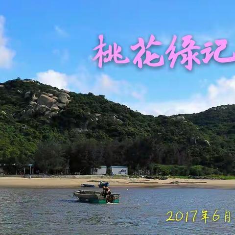 桃花缘记
