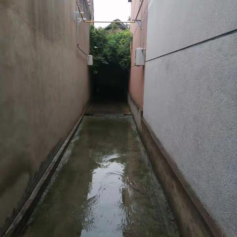 王庄村人居环境问题整改照片