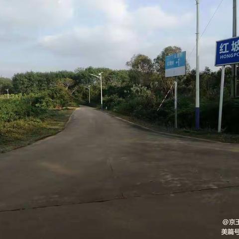 清泉村委会班组:保洁员在红坡村开展2022年第四季度人居环境卫生整治作业前后图。