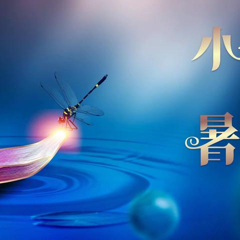 二十四节气之  小暑