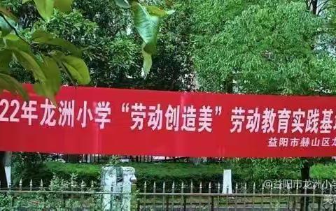 携手为保护地球投资 龙洲小学2104班世界地球日活动