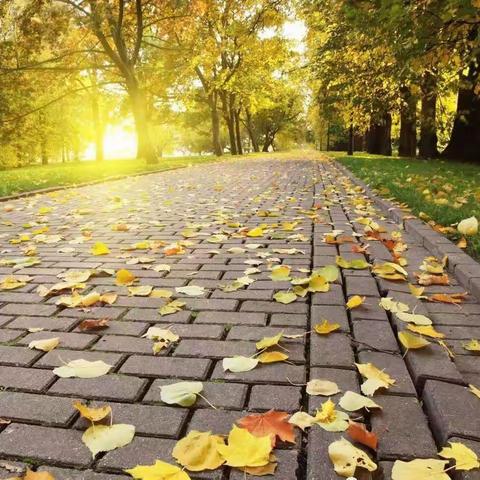 英才幼儿园“创意树叶画，一叶一世界”亲子手工作品。