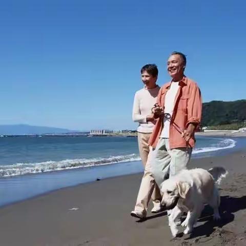 退休后再为社会服务二十年 之一：“返老还童”再学艺