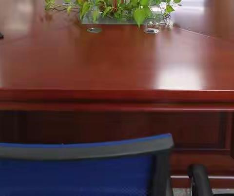 合肥市少儿艺术学校体育教研组十月份第二次教研会议