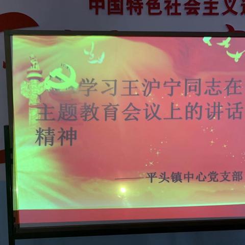 平头镇中心党支部学习《王沪宁同志在“不忘初心、牢记使命”主题教育部署会上的讲话精神》