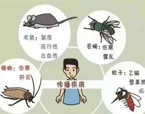 【爱国卫生运动】高陵区第三中学病媒生物防制科普知识宣传