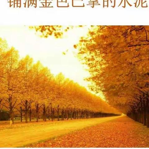 孩子眼中的秋