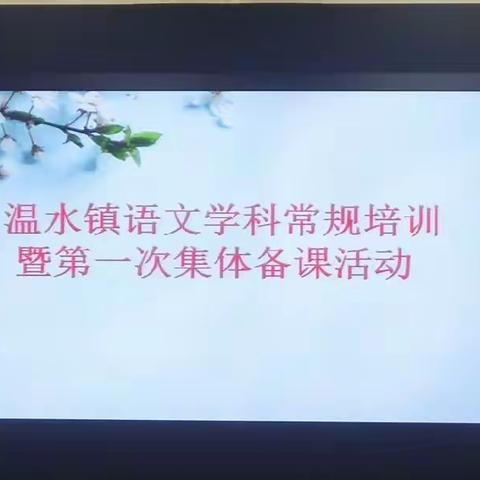 新学期，新风采—温水镇语文学科常规培训暨四年级语文第一次集体备课活动