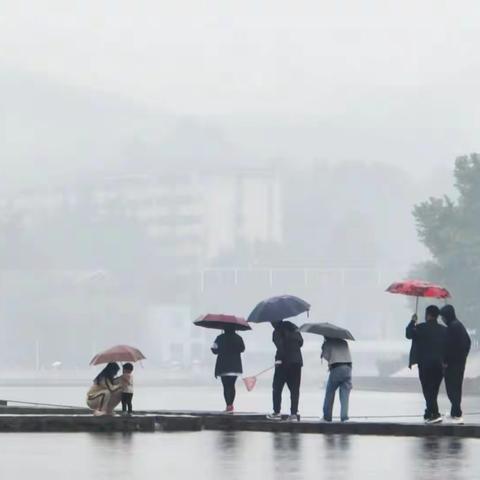 每个雨天都是一次愉快的邀请