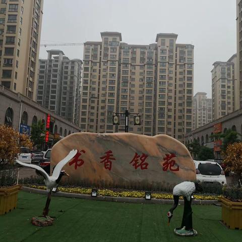 抗击疫情          志愿同行              2020“新冠肺炎”防控志愿者（书香铭苑团队）