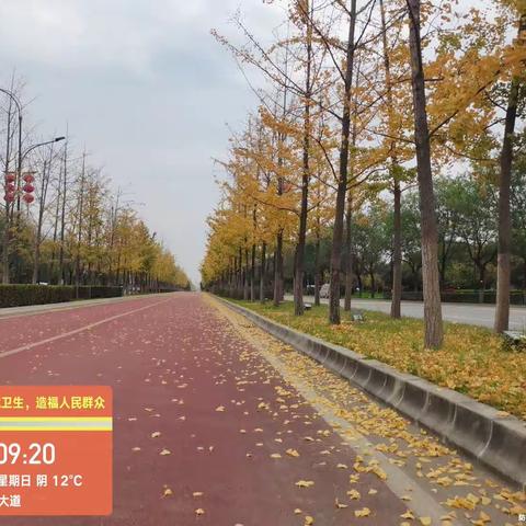 2023.11.5为众物业日常工作美篇。今天天气大幅度降温，风吹落叶满地黄，为应对“落叶季…（副本）