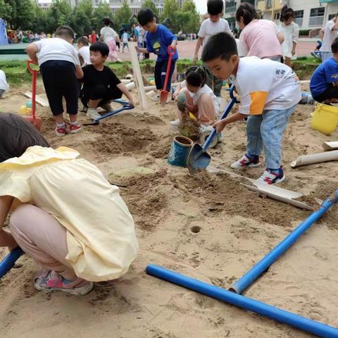 向阳而生，不负好时光