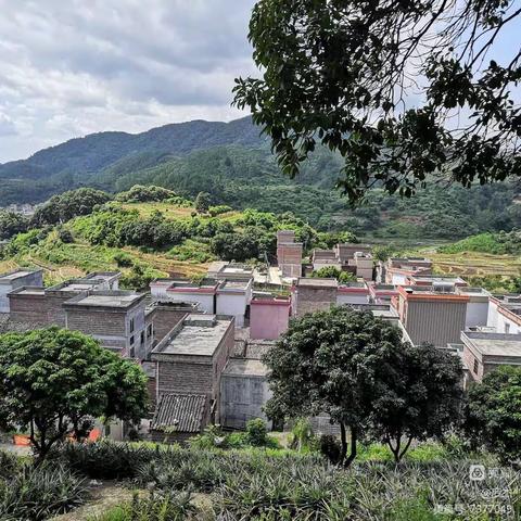 红营——美丽的小山村